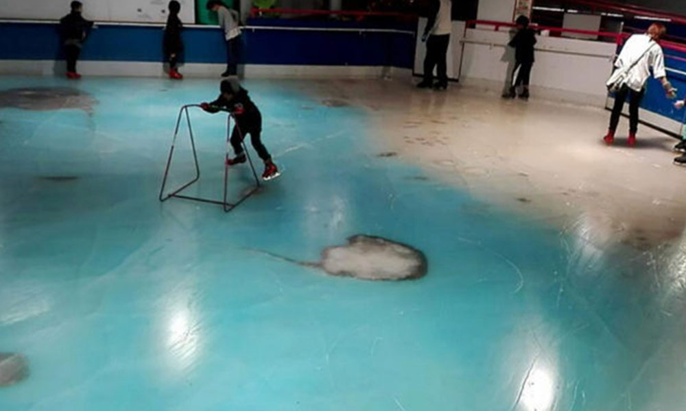 Imágenes de la pista de patinaje con los animales congelados. //elmundo.es