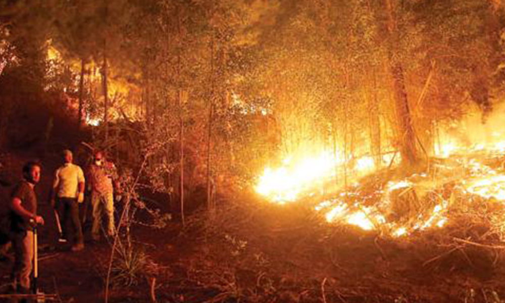 Fatal. El fuego sigue en Chile pese a la tarea de bomberos. Foto://Ultimahora.com