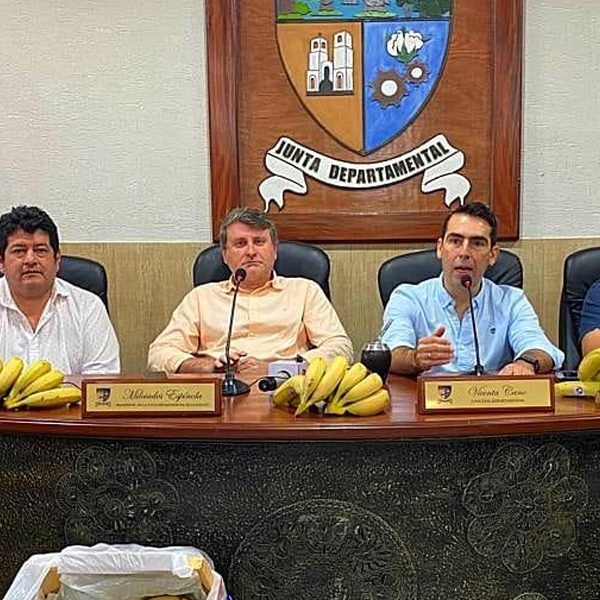 Productores de piña y banana denuncian falta de pago por exportaciones a Argentina