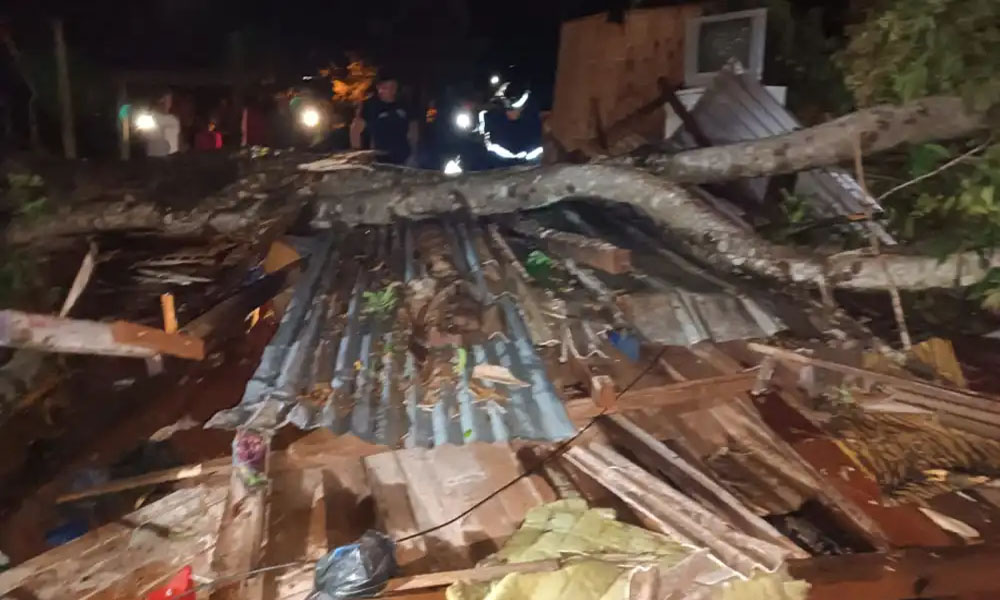 La vivienda quedó destruida tras la caída de un árbol por el fuerte temporal. Foto: Antonio Rolin