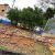 Voluntarios reconstruyen muro caído en una escuela de Asunción y denuncian desidia del MEC