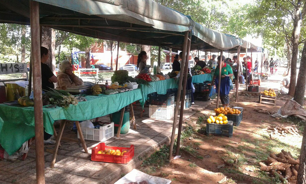 Las feriantes ofrecen sus productos todos los miércoles en la plaza San Roque González de Santacruz de la ciudad de Coronel Oviedo. //OviedoPress