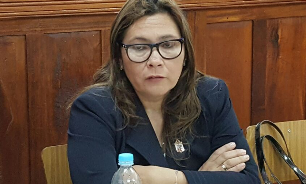 Sonia Garcete de Balmoriz, durante una rueda de prensa, el pasado viernes.